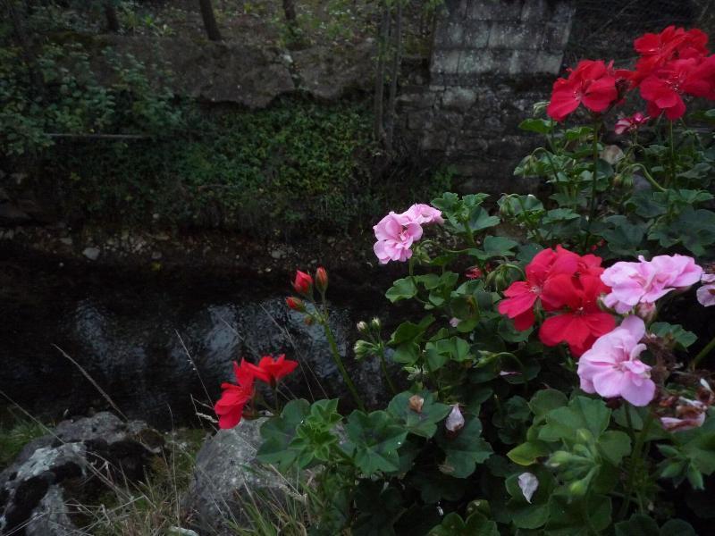 Hotel Il Giardino Del Rio 3*